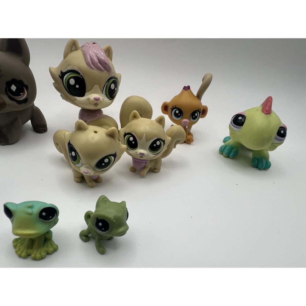 Littlest Pet Shop Mixed Lot of 13 LPS Figures Cats Dog Amphibians Etc - Picture 4 of 5